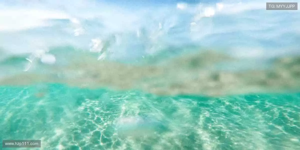 全球赛事,一键直达!🌍